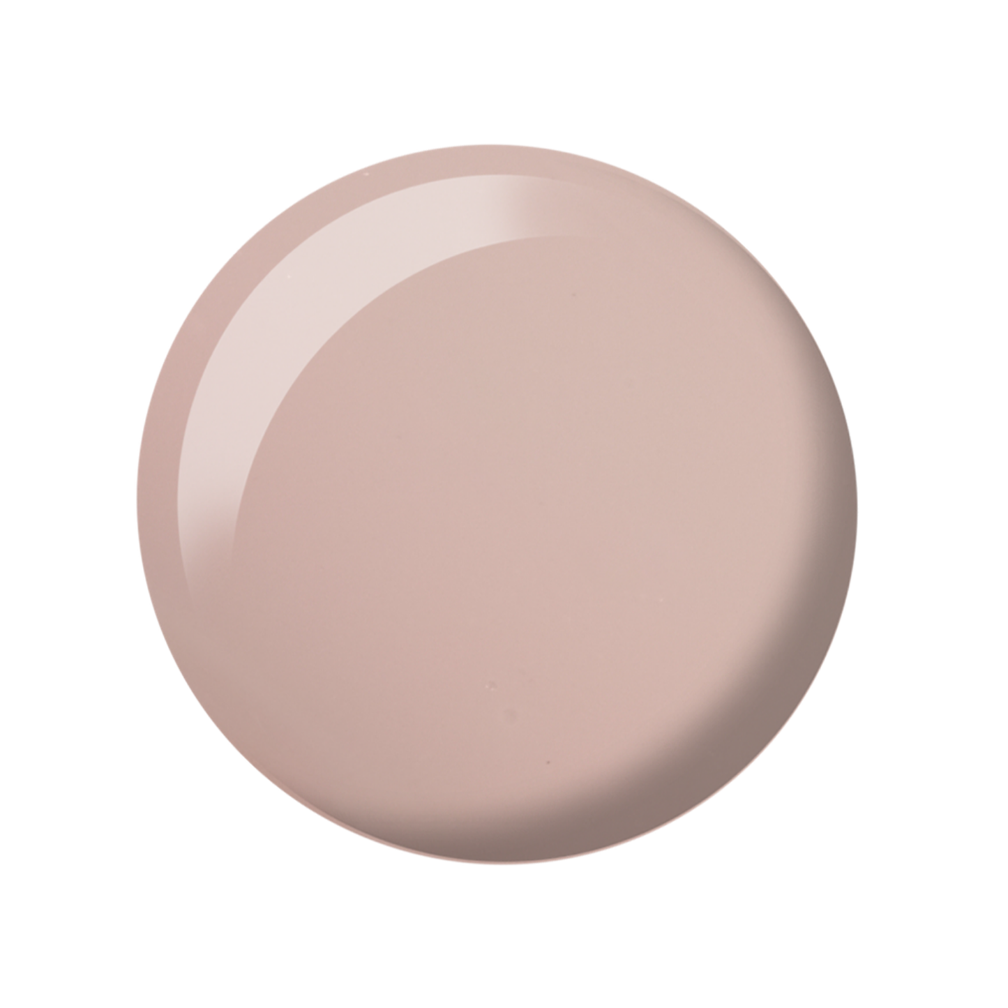 DC Duo #2443 | Sheer Sugar