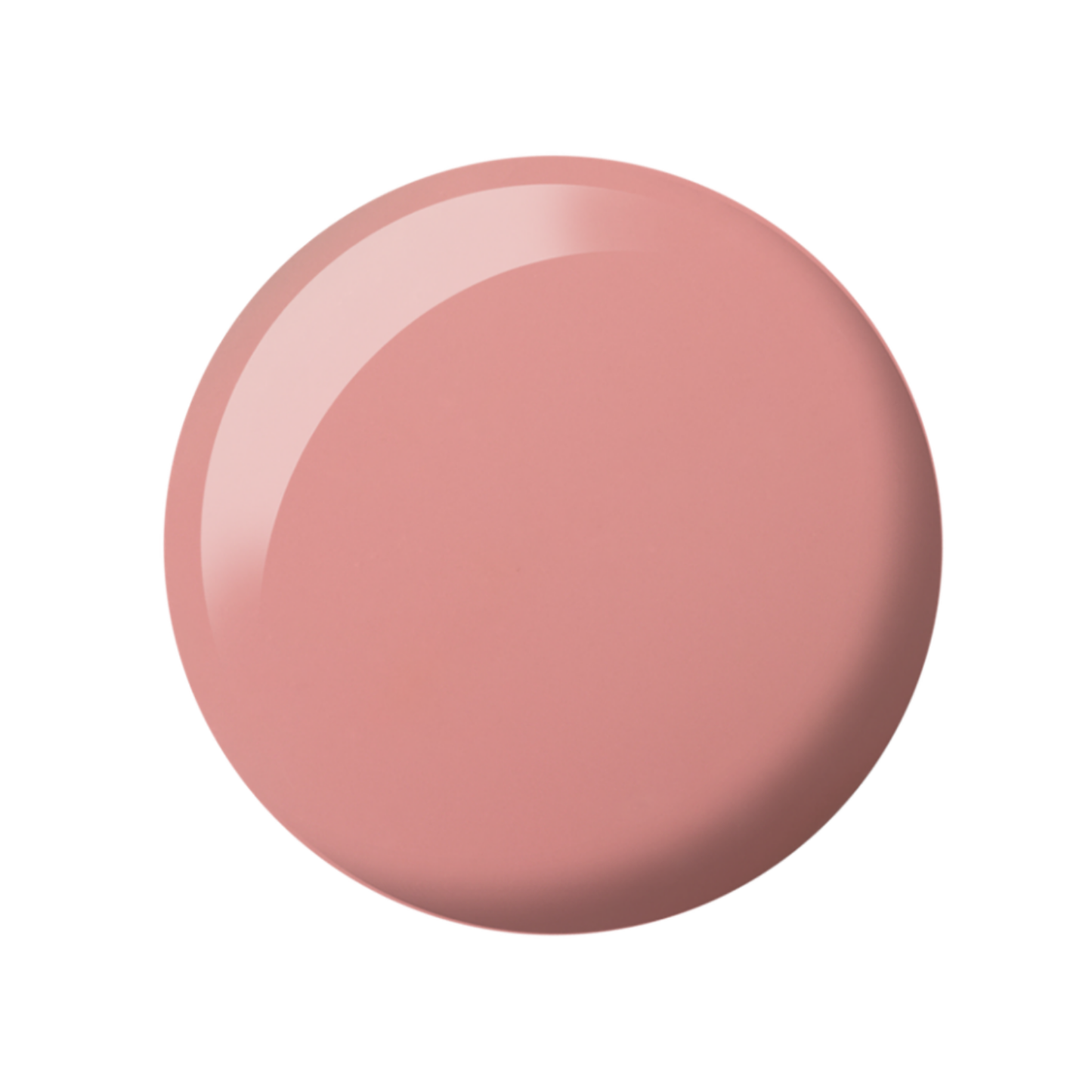 DC Duo #2446 | Rose Palais