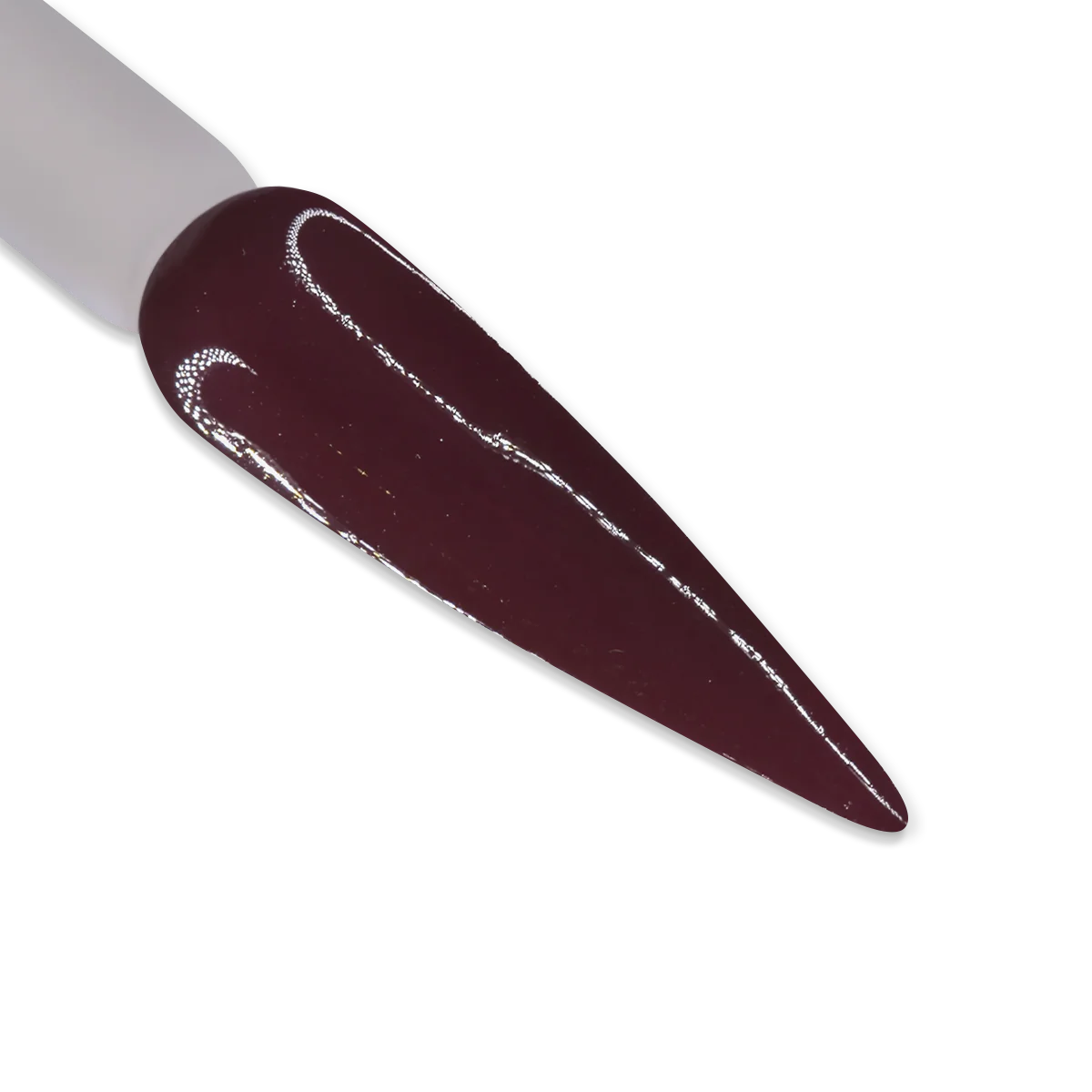 iGel Duo DD081 | Plumful