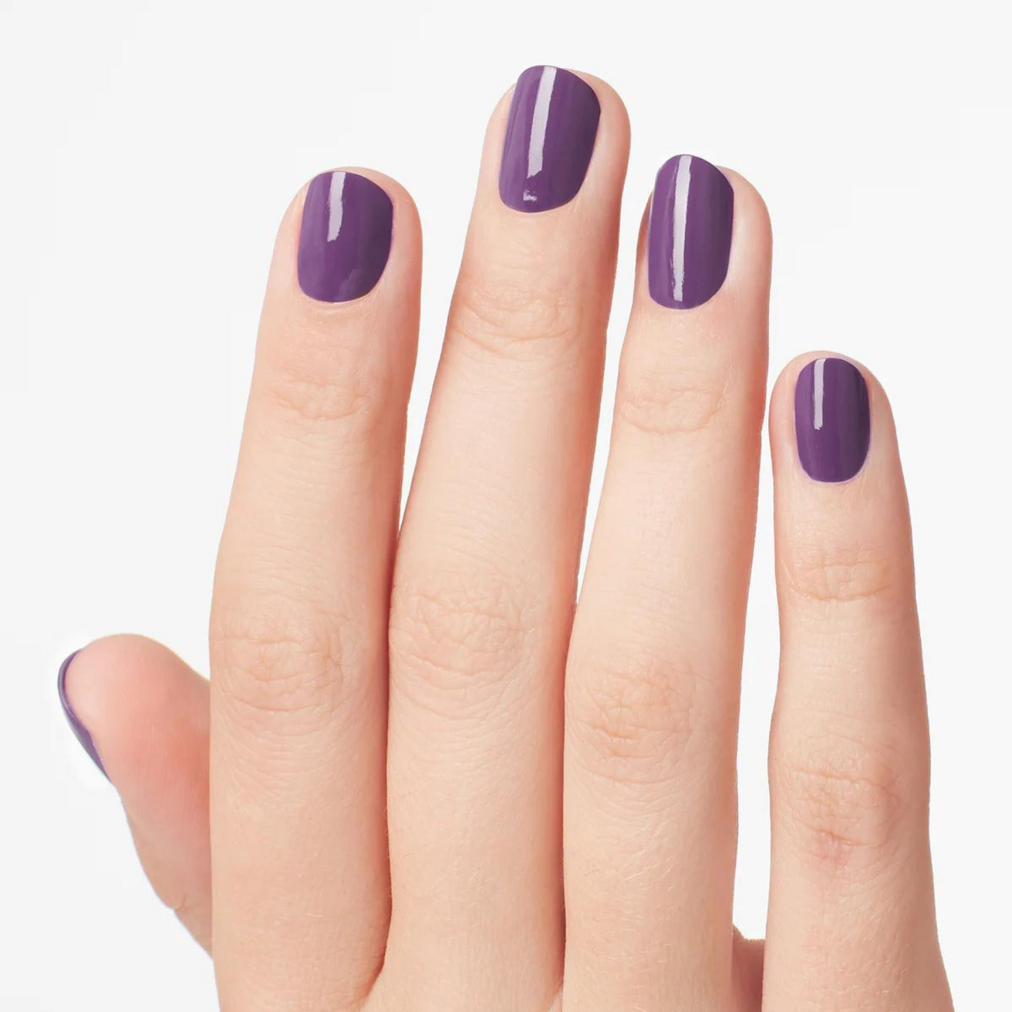 NL LA11 | Violet Visionary