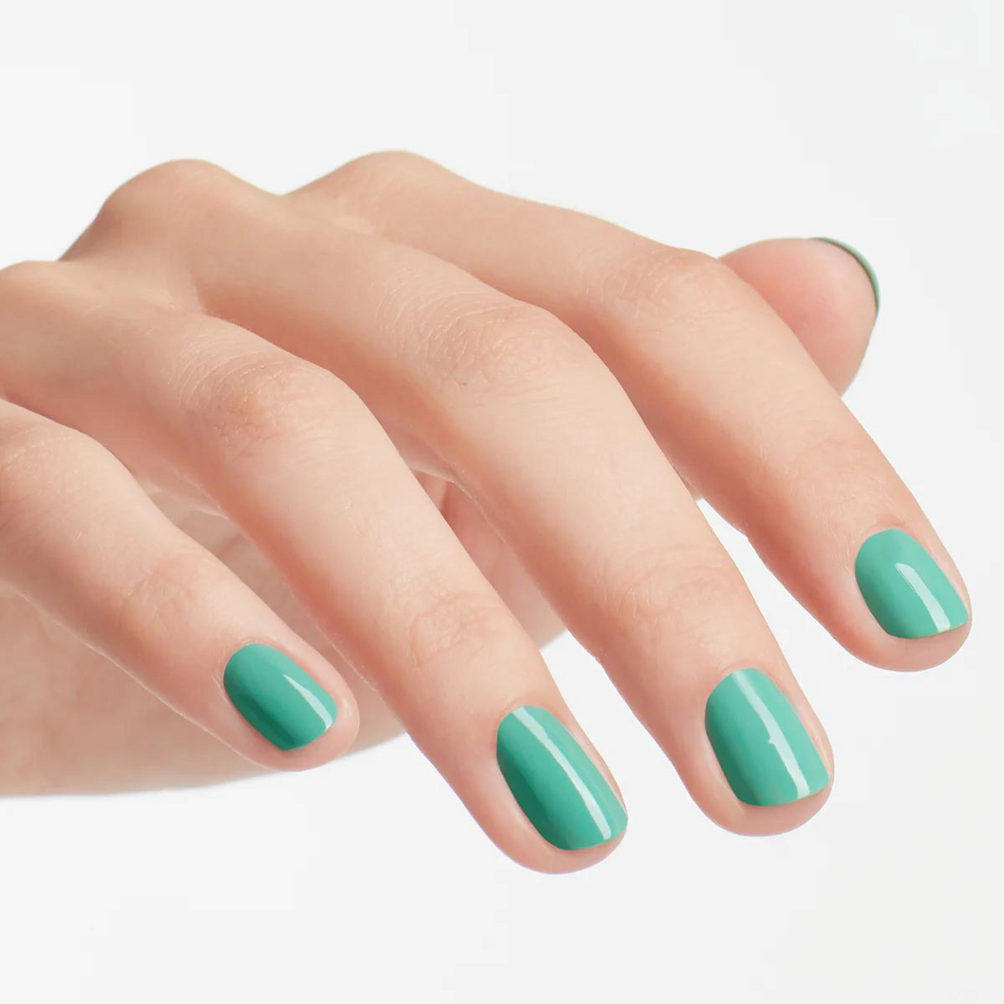 GC N45 | My Dogsled Is a Hybrid