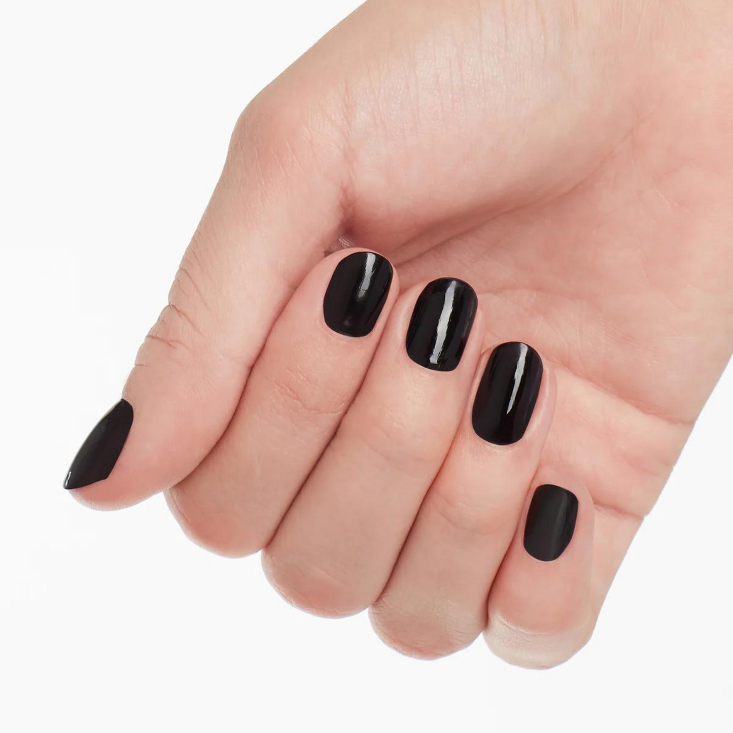 DP W42 | Lincoln Park After Dark