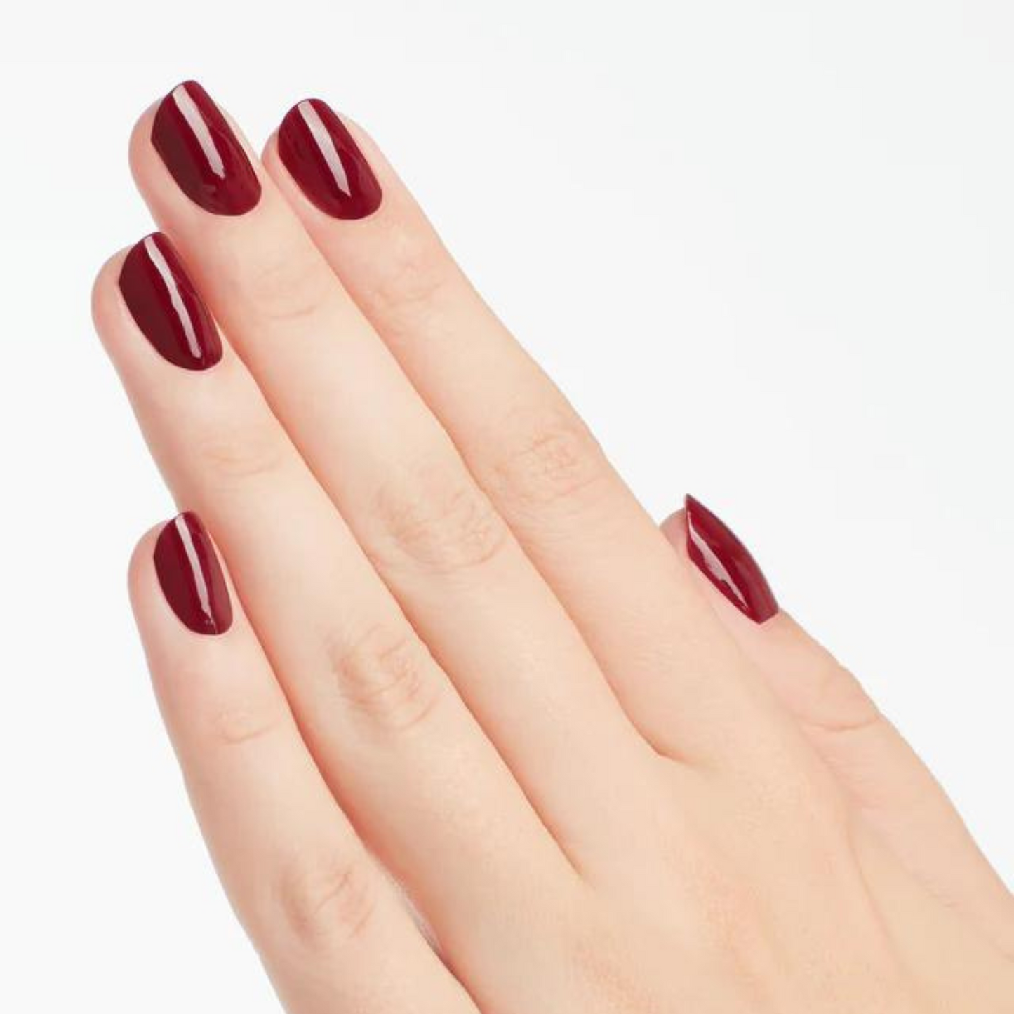 DP W64 | We the Female