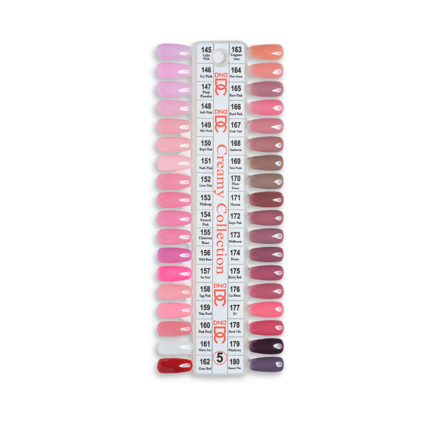 DND DC Color Chart #5