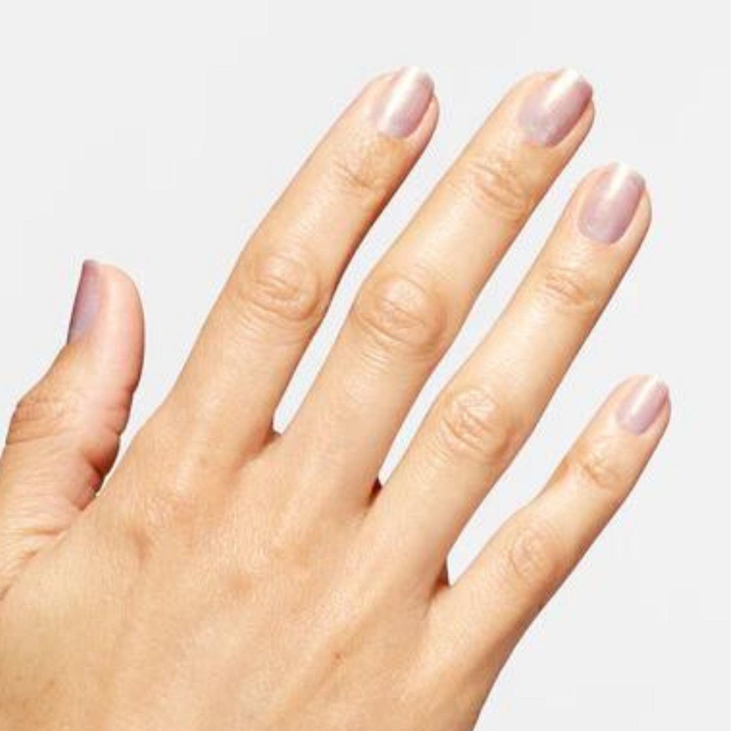 NL HK01 | Let's Be Friends Forever