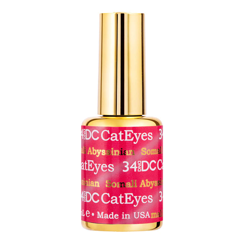 DC Cat Eyes #34 | Somali Abyssinian