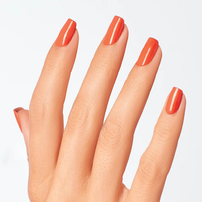 NL M89 | My Chihuahua Doesn't Bite Anymore