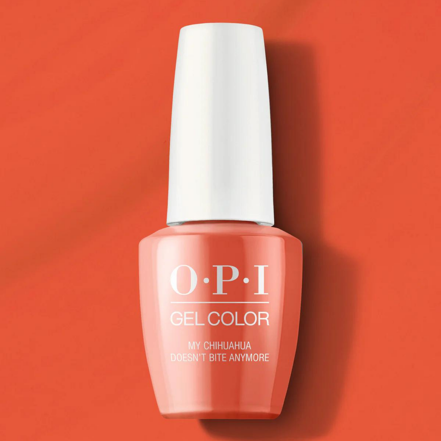 GC M89 | My Chihuahua Doesn't Bite Anymore