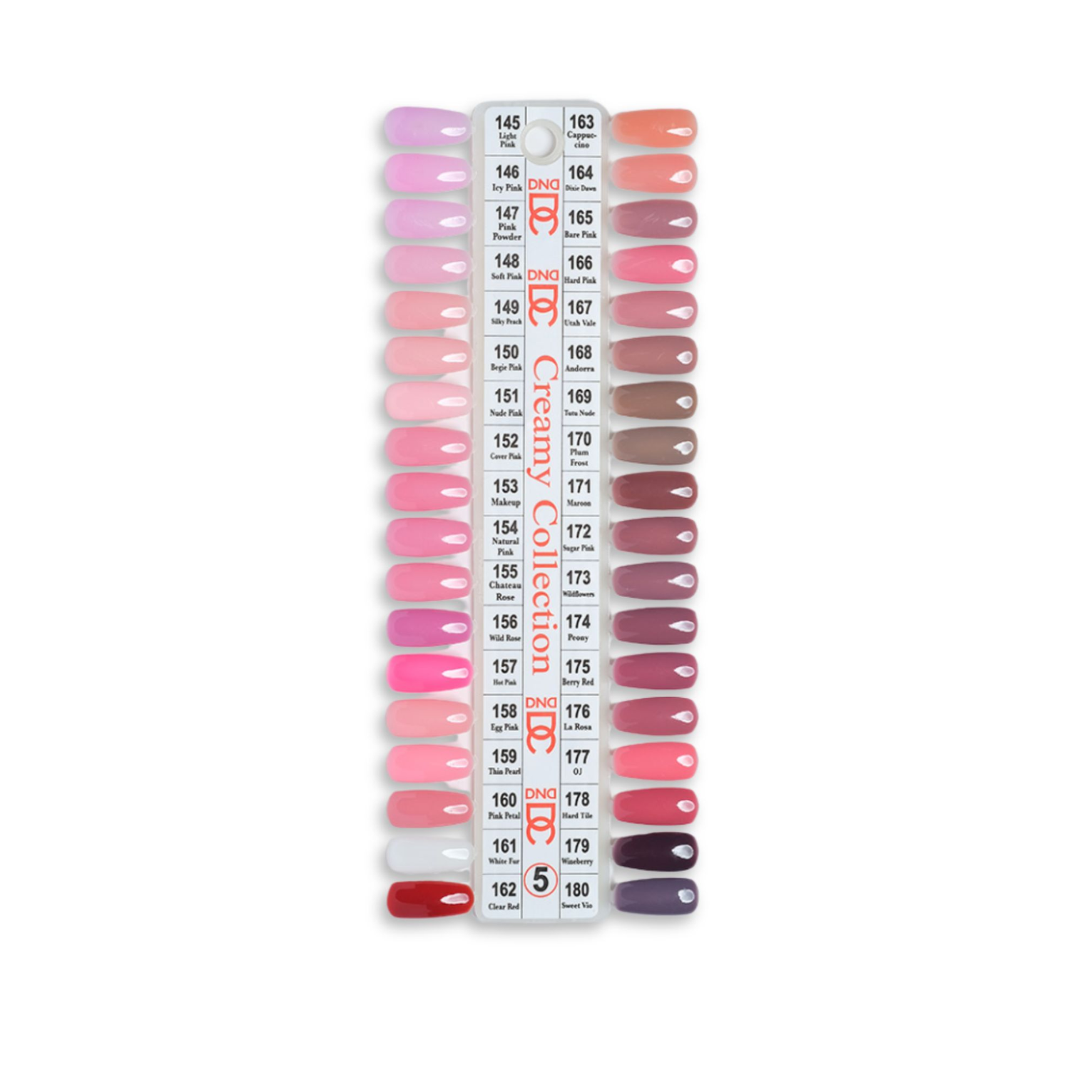 DND DC Color Chart #5
