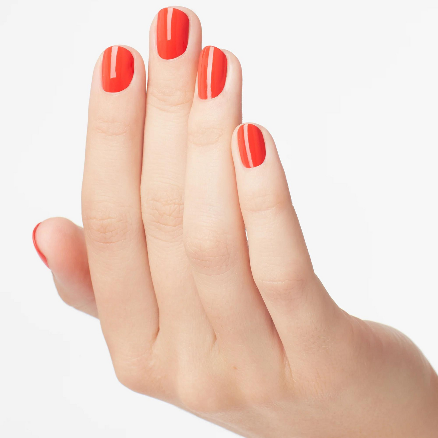 NL F81 | Living On the Bula-Vard!