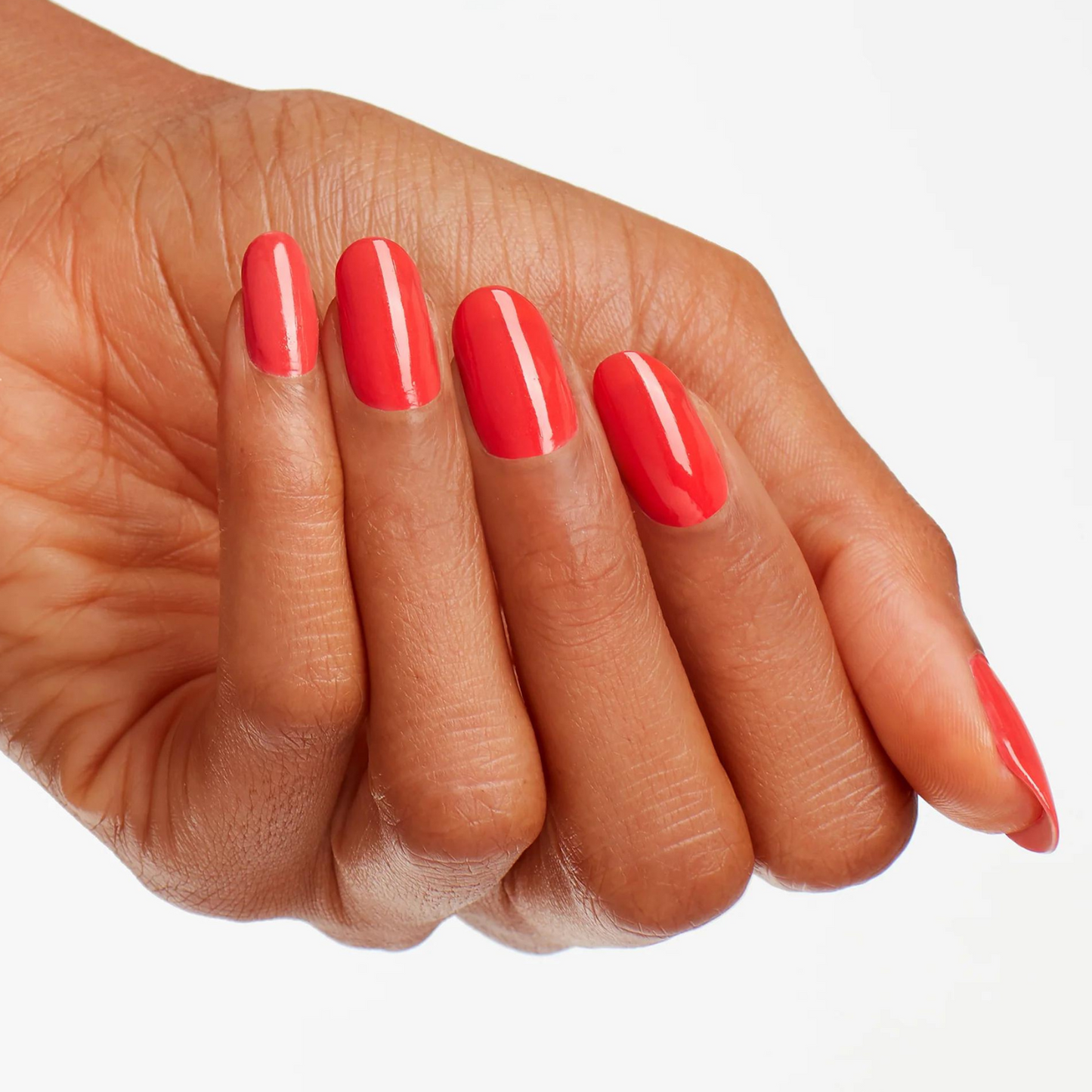 NL T30 | I Eat Mainely Lobster