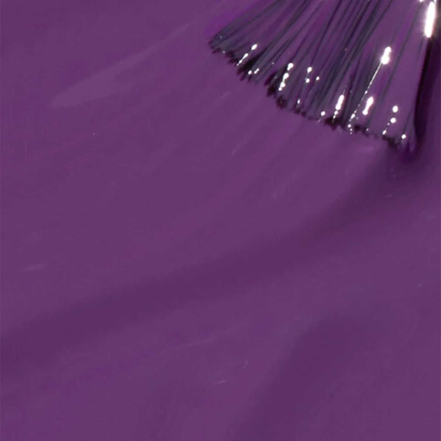 NL F003 | Medi-take it All In